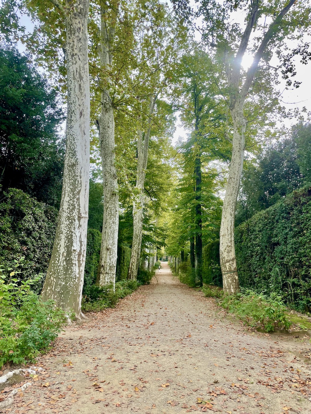 Boboli Gardens