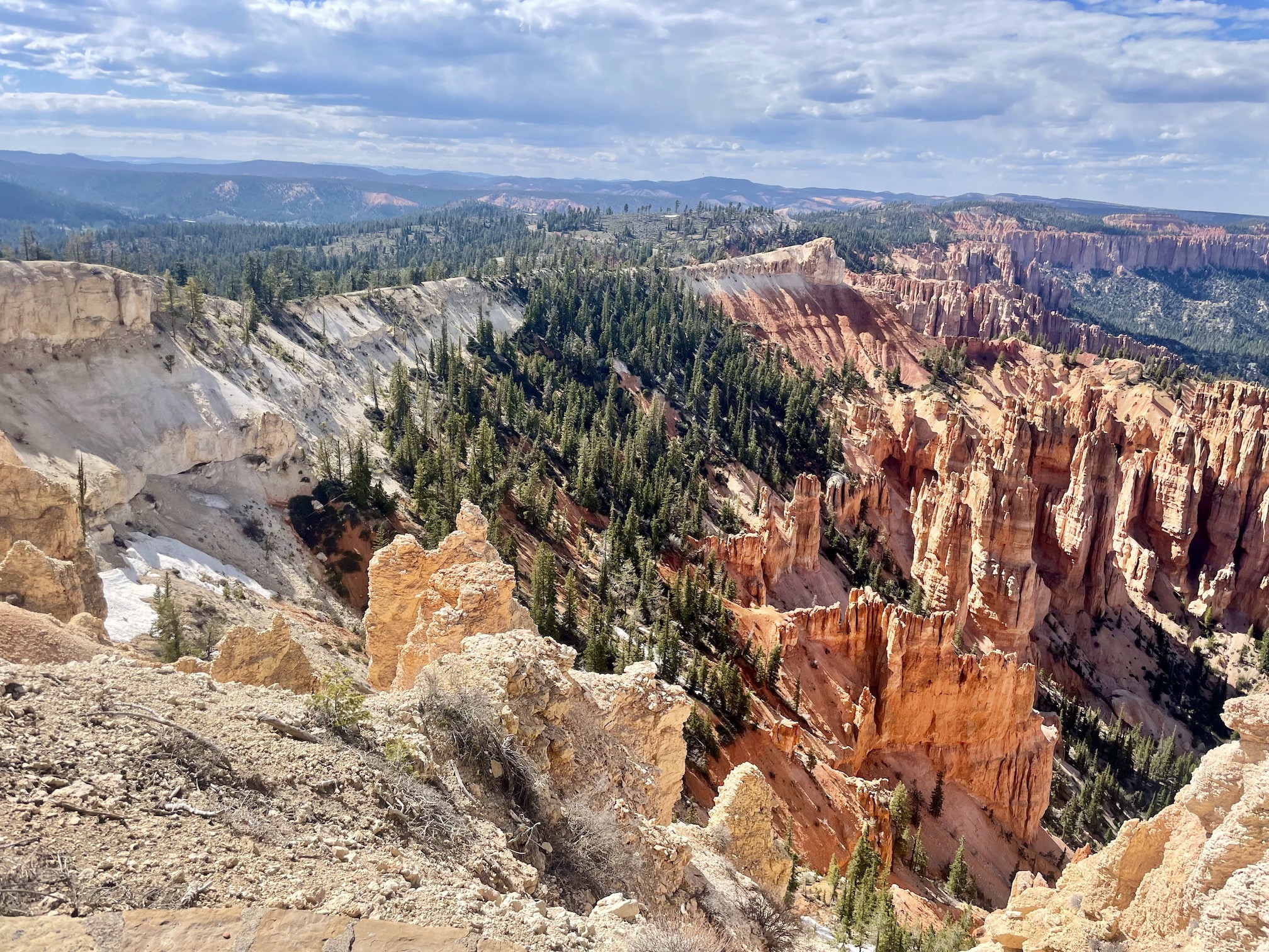 Bryce Canyon Rainbow Point