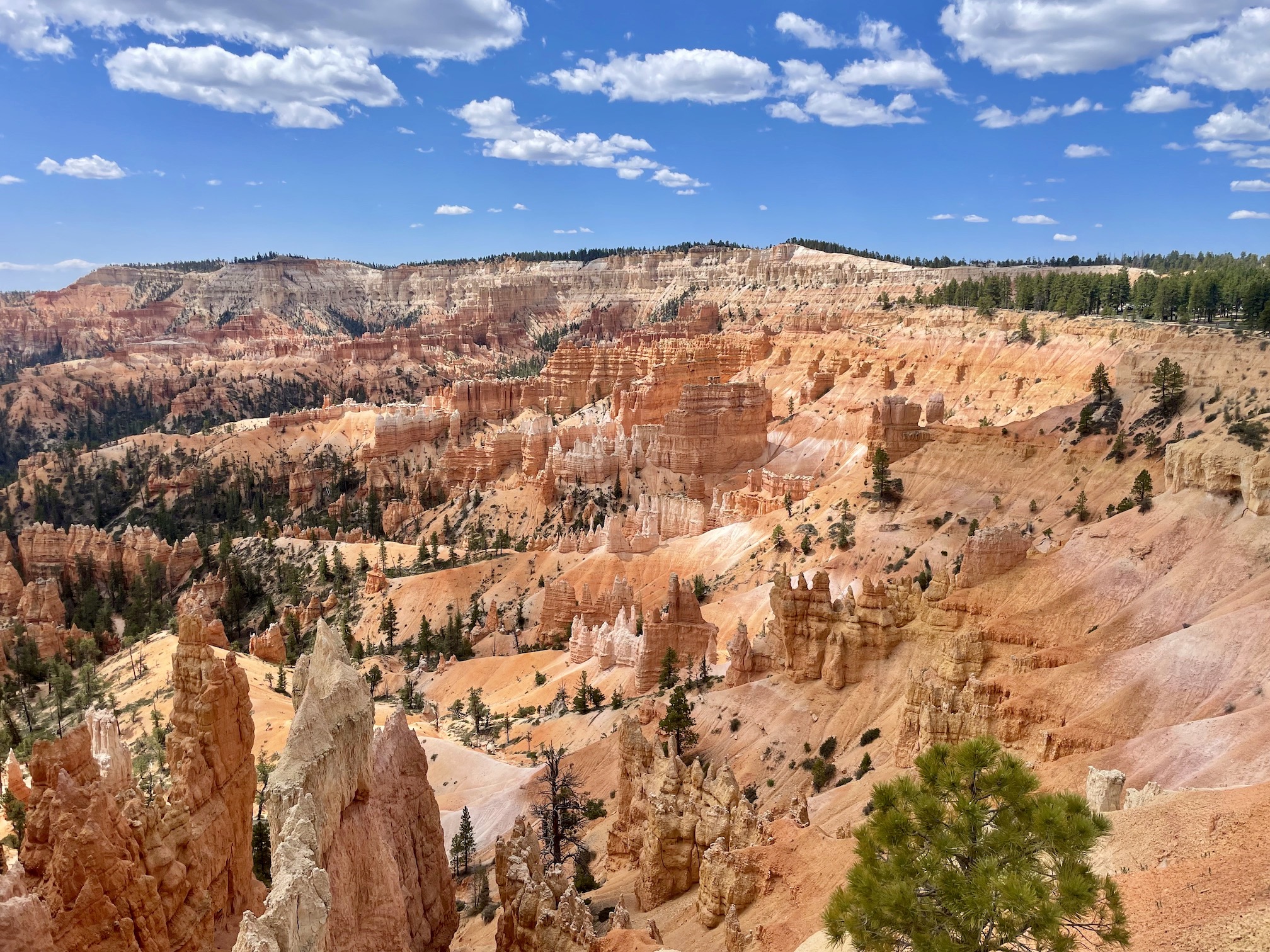 Bryce Canyon National Park, hoodoos