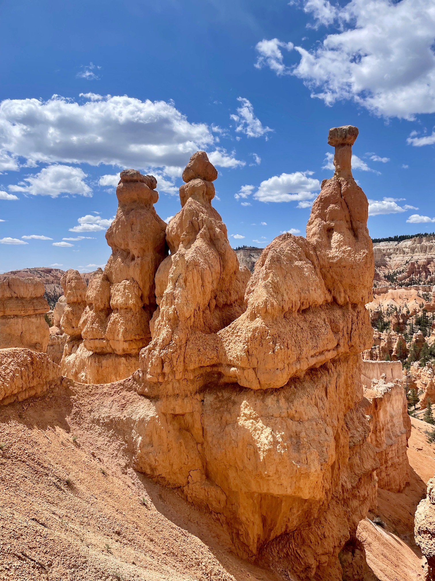 Hole in hoodoo/rock along the trail at Bryce