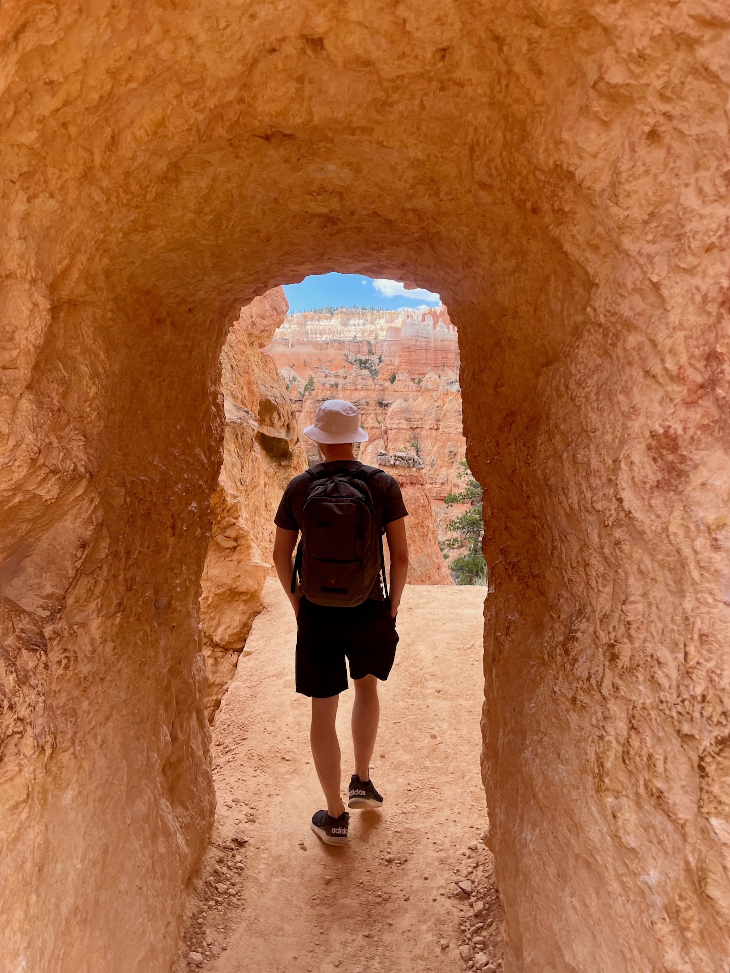 Closeup of hoodoos at Bryce