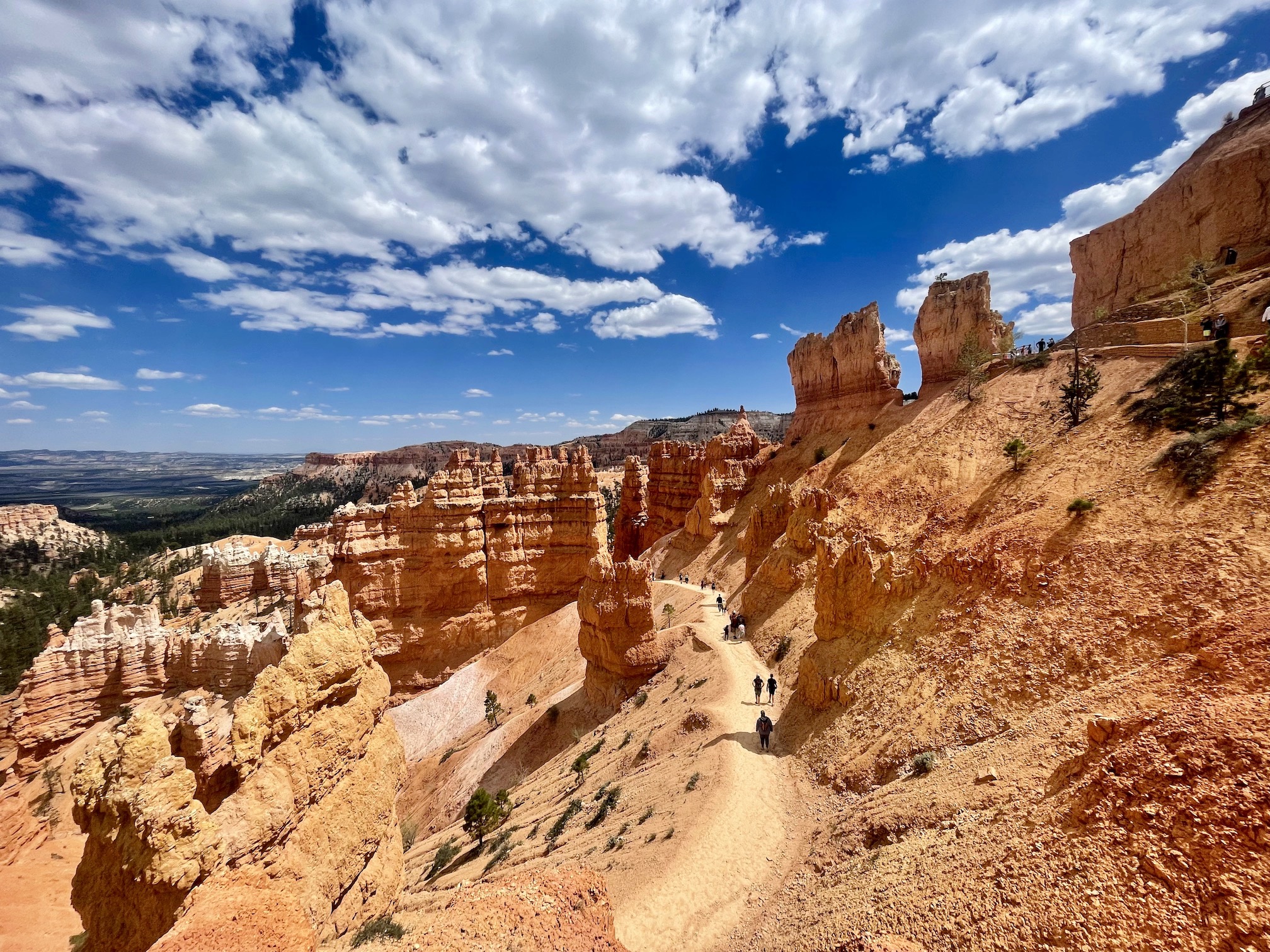 Trail in Bryce National Park, hoodoos