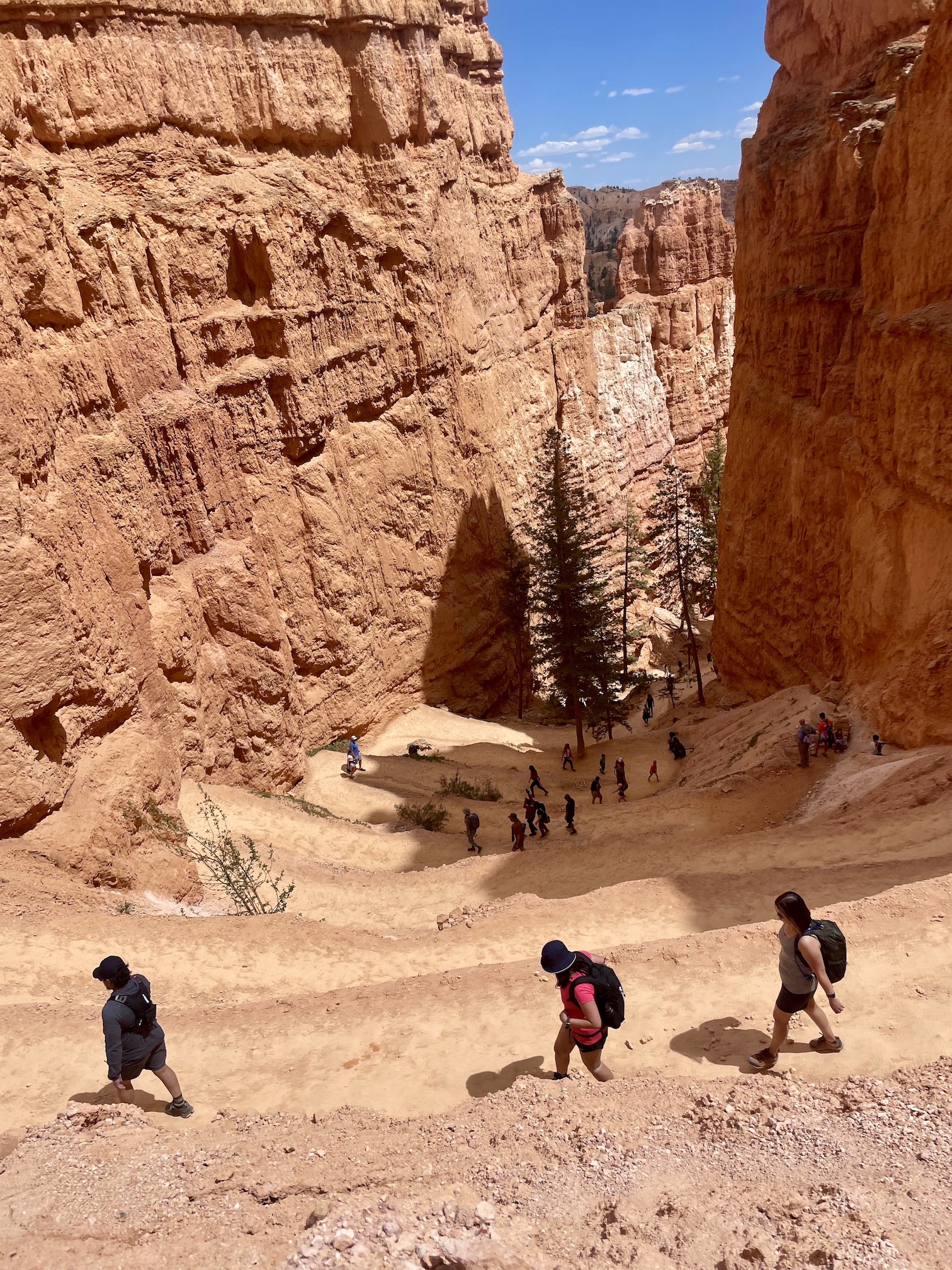 Bryce Canyon Figure 8 Trail, switchbacks