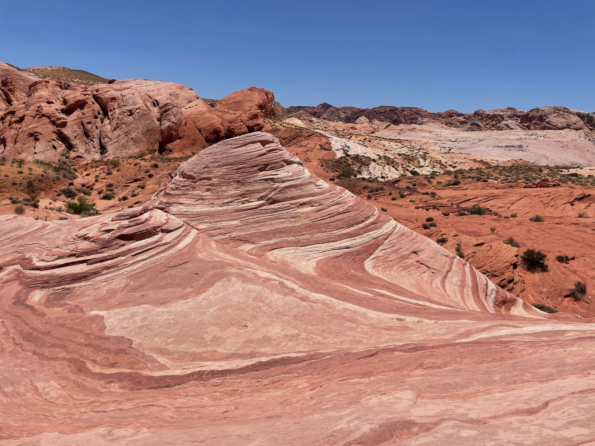 Fire Wave Trail in Valley of Fire State Park