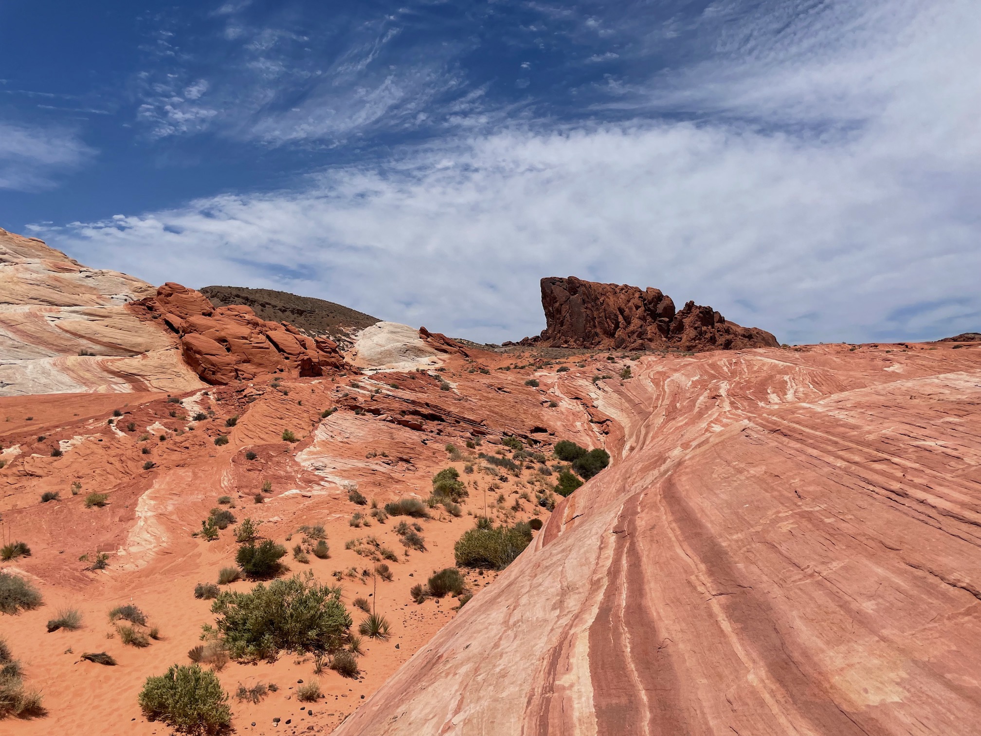 Fire Wave in Valley of Fire State Park