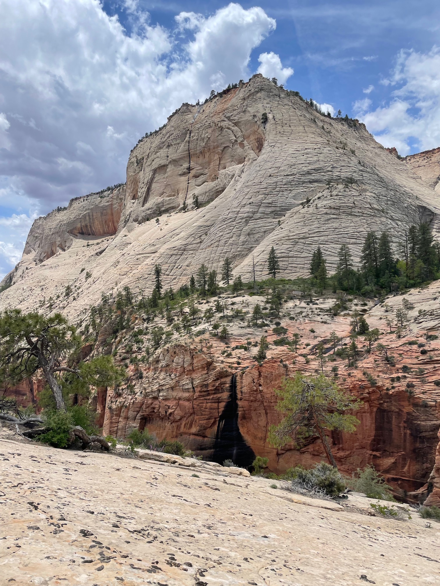 Water dripping down the rock in Zion on the West Rim Trail