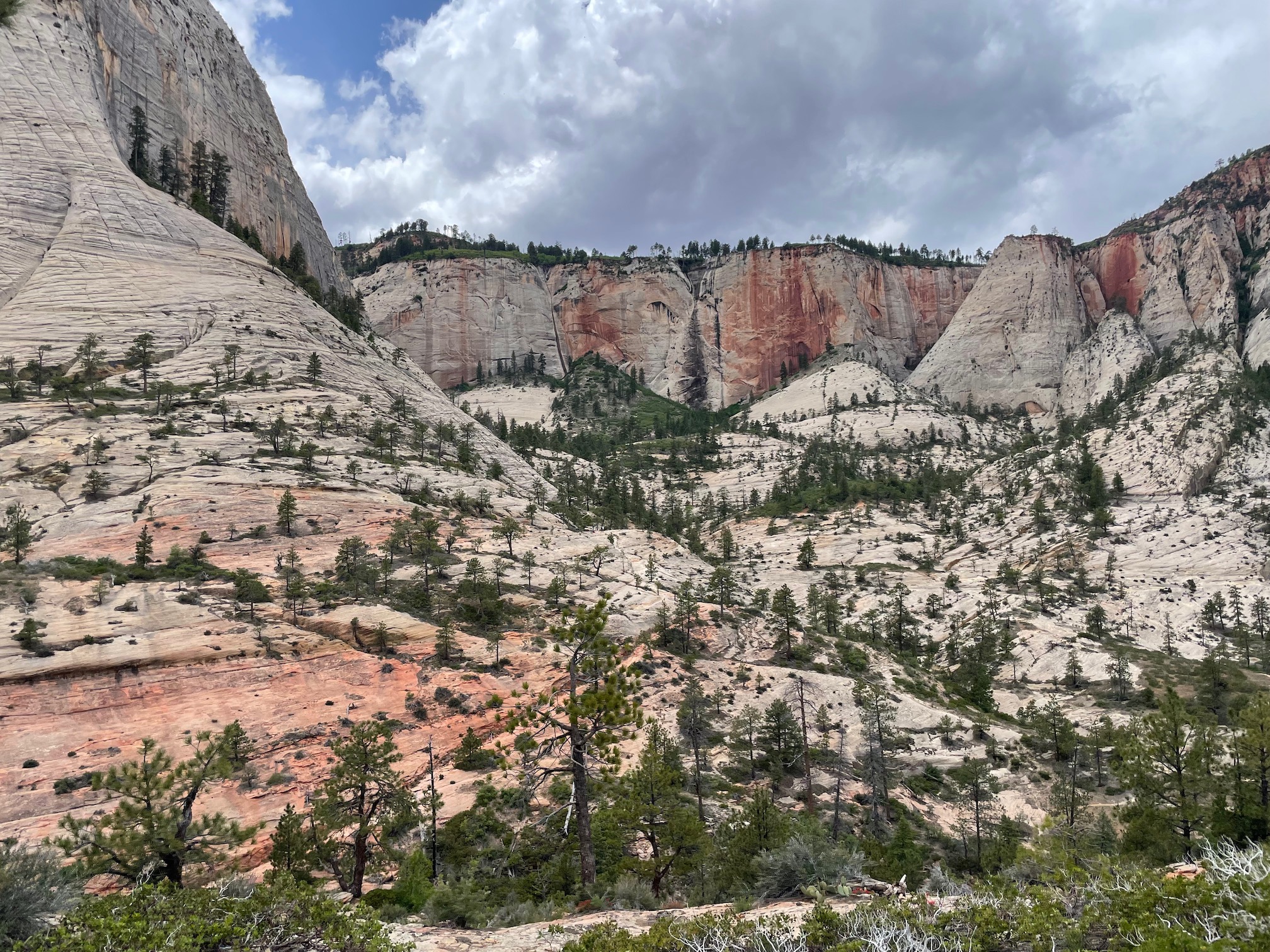 West Rim Trail