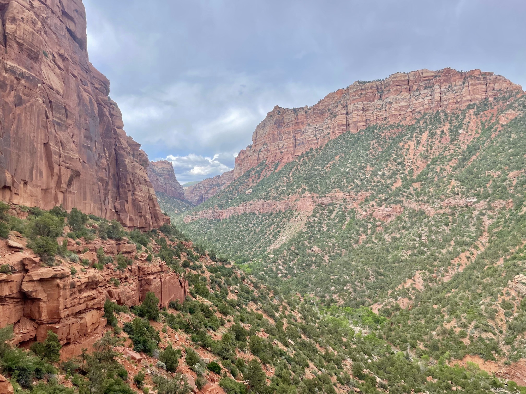 Canyon to descend into from the Left Fork Trailhead