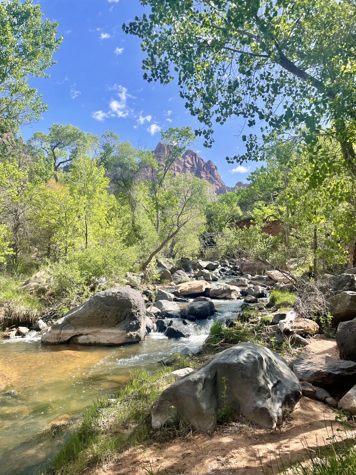 Typical river view from the Left Fork trail to Subway