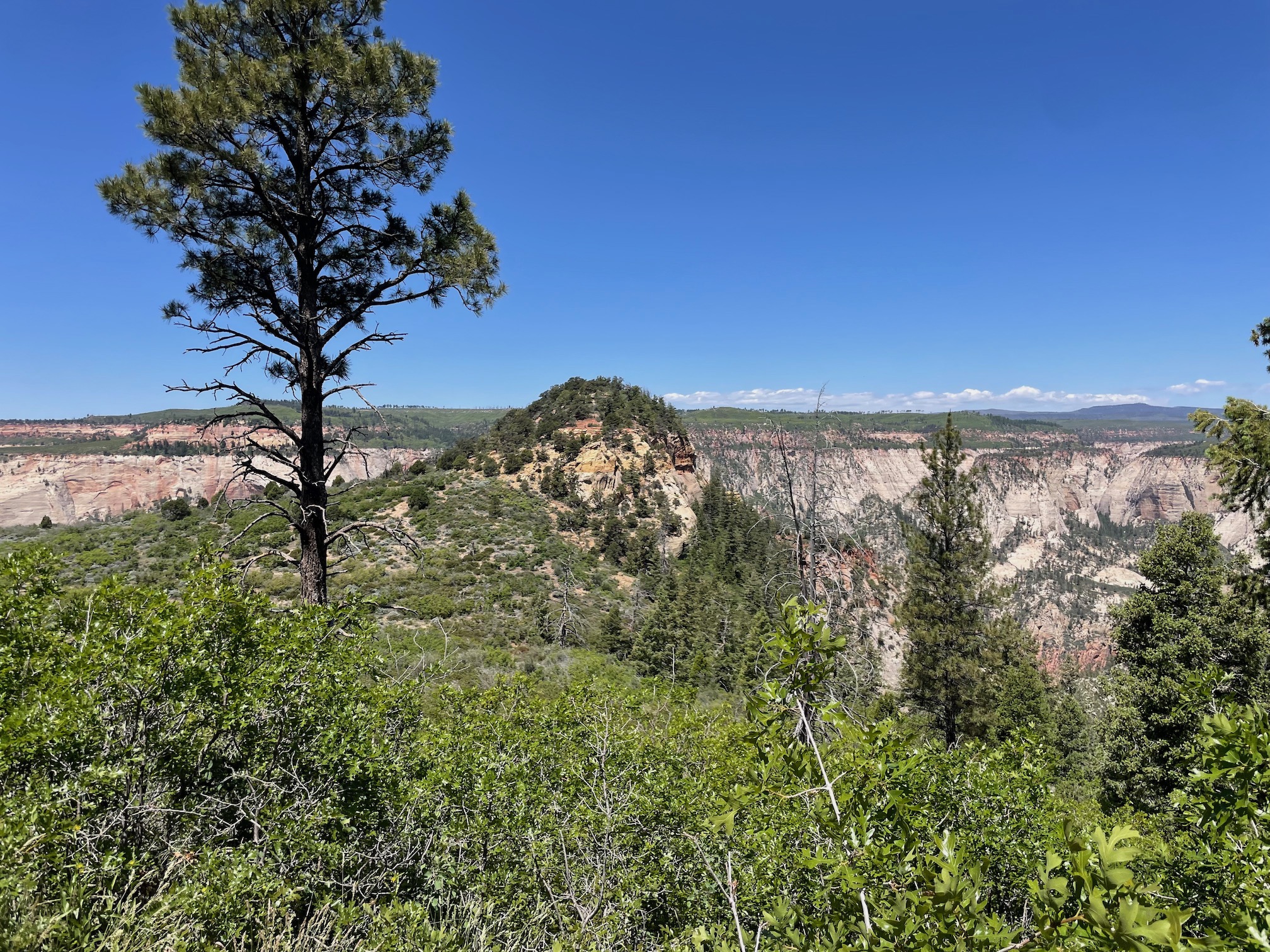 Viewpoint on the East Mesa trail