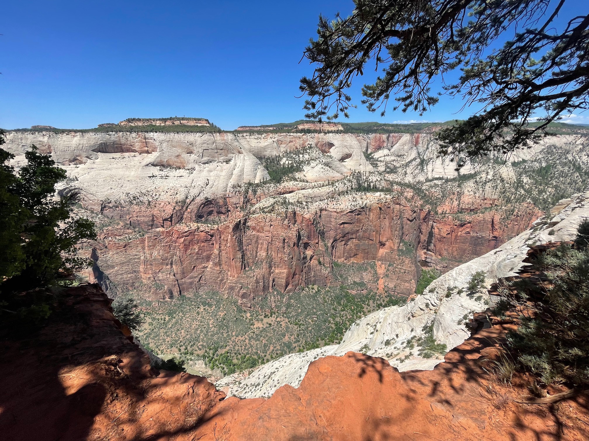 Viewpoint on the East Mesa trail, closer to Observation Point