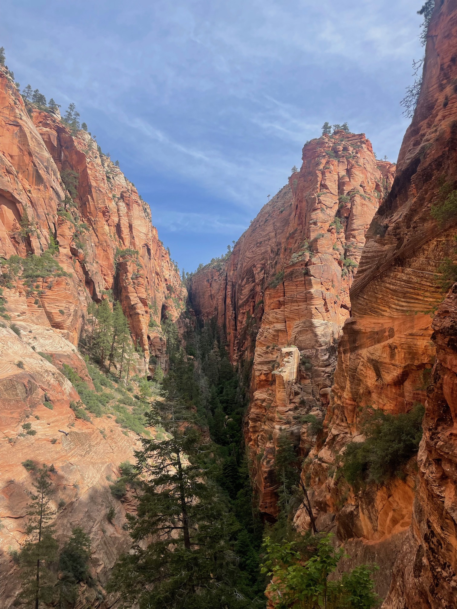 Along the West Rim Trail