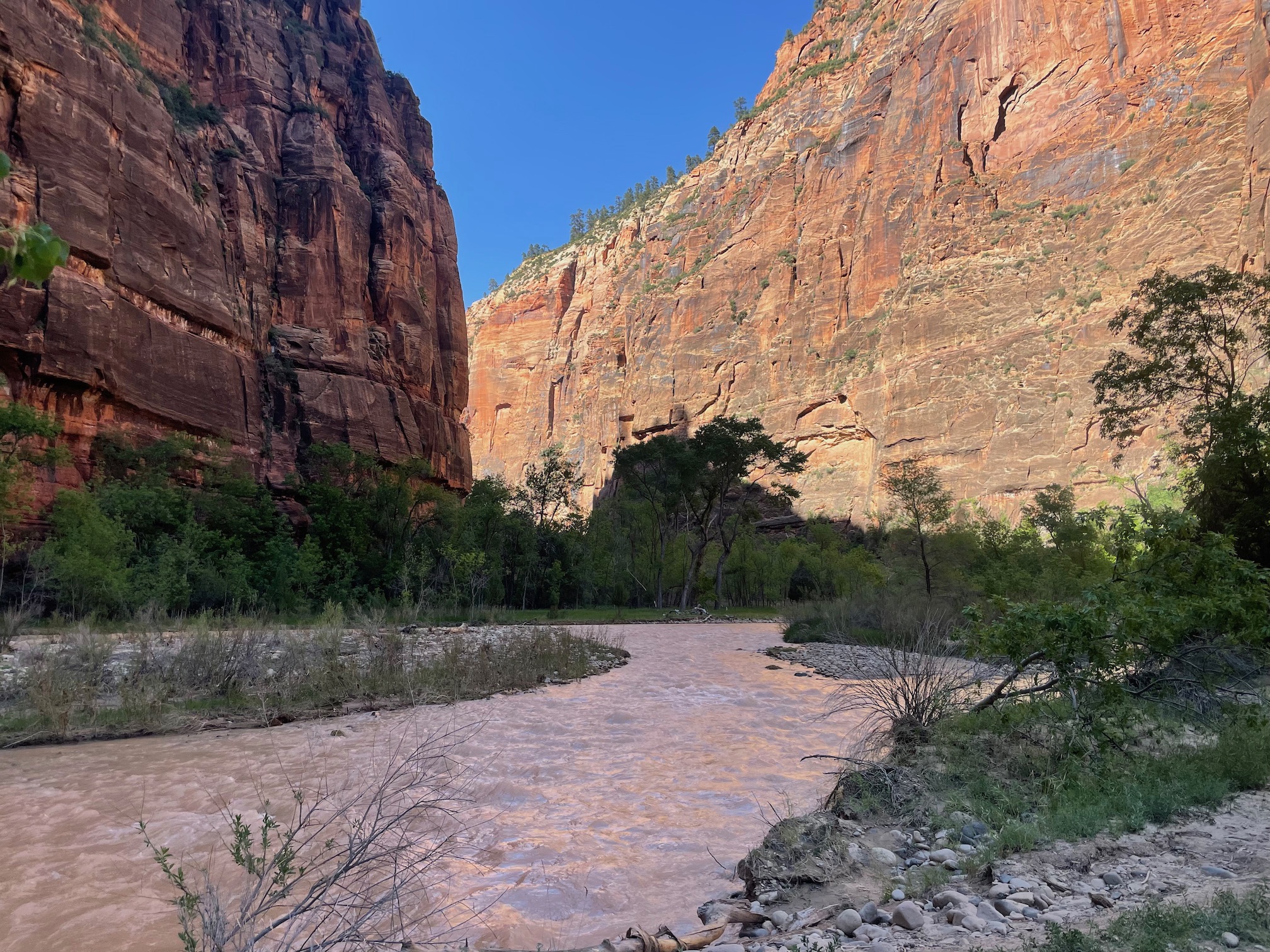 View of the Narrows and Virgin River