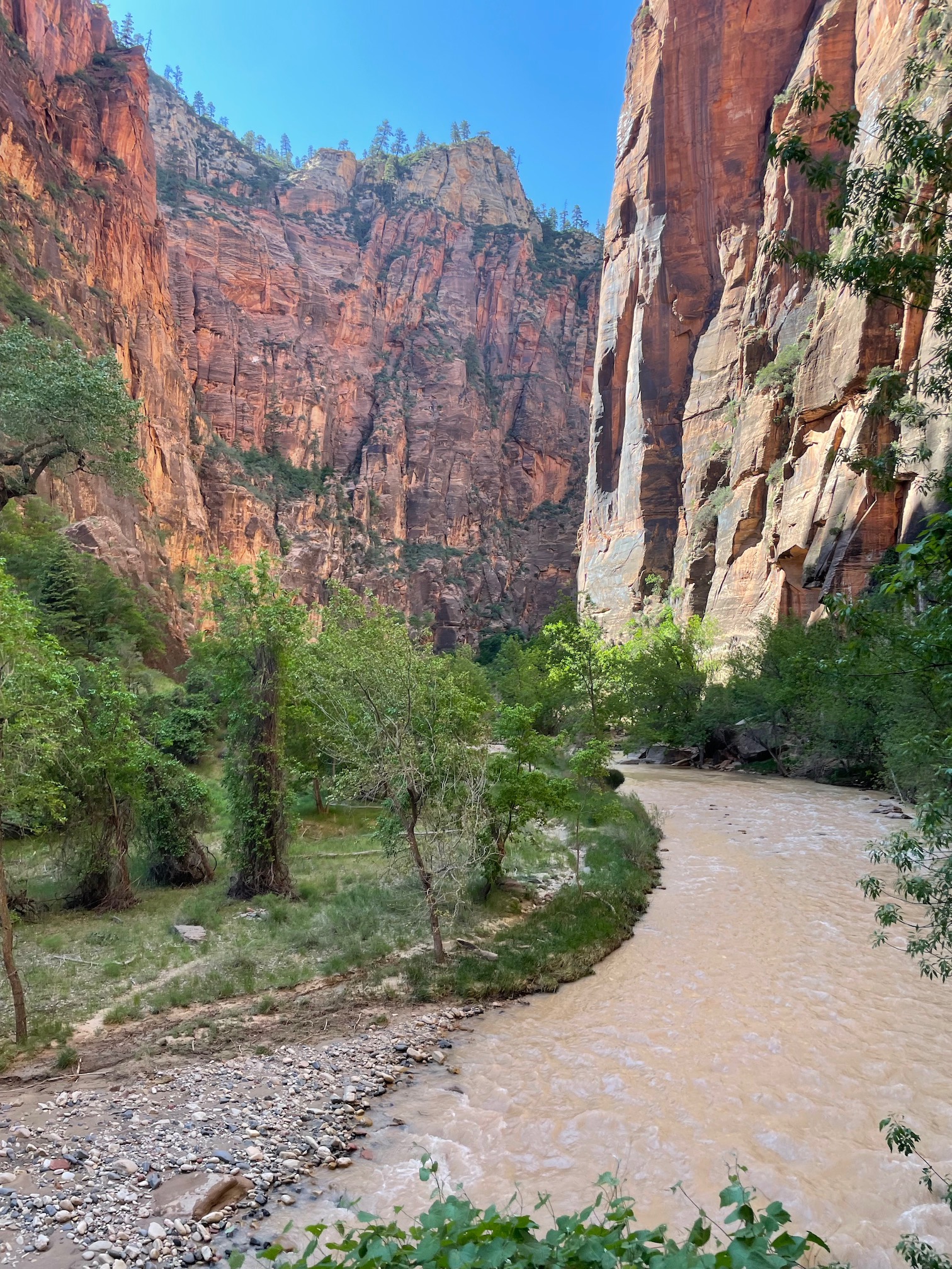 Narrows Riverside Walk