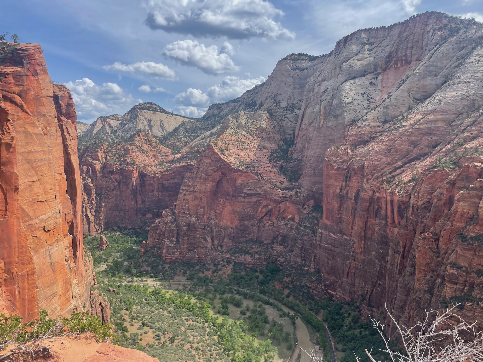 Views of the canyon walls in Zion